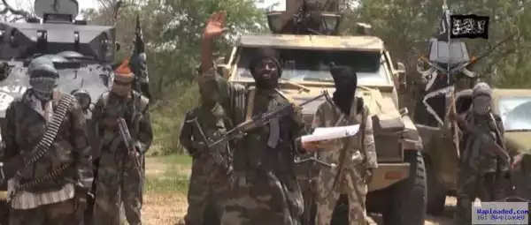 6 feared dead as Boko Haram members attack community in Borno